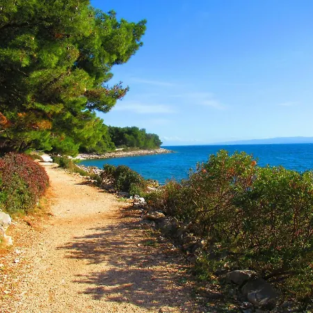 Summer Dream Directly At The Sea *