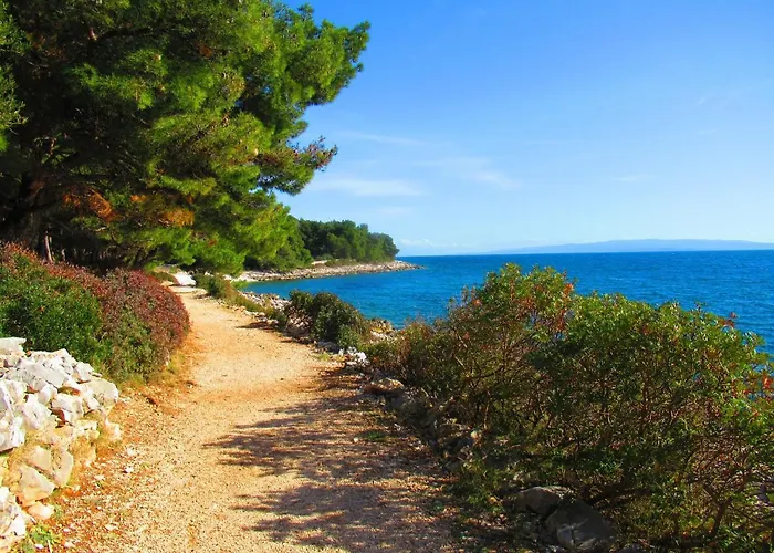 Summer Dream Directly At The Sea *